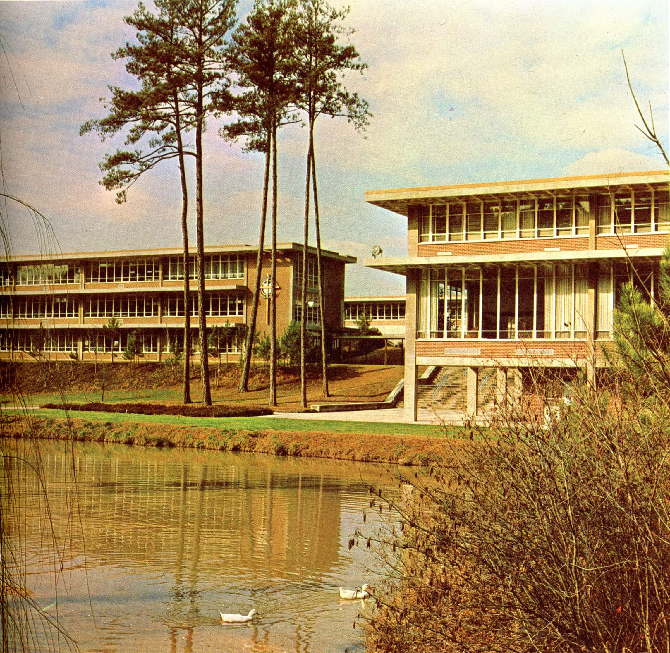 A 1967 color photograph of ducks in a pond in front of Lovett's academic building.